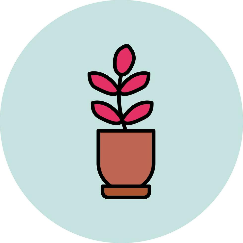 Ficus Elastica Vector Icon