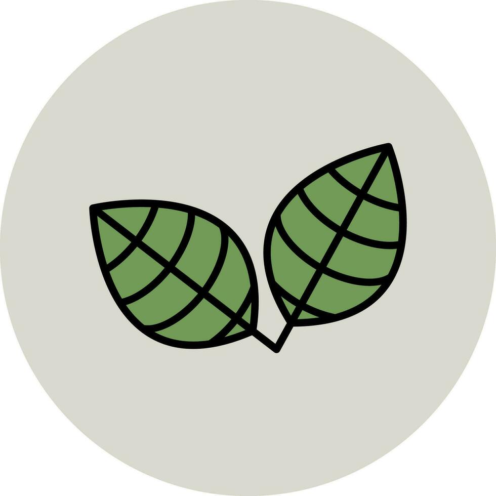 Ctenanthe Vector Icon