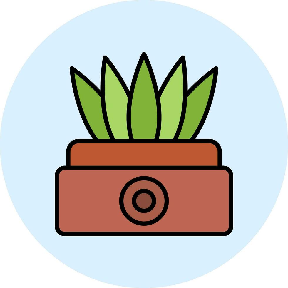 Sansevieria Vector Icon