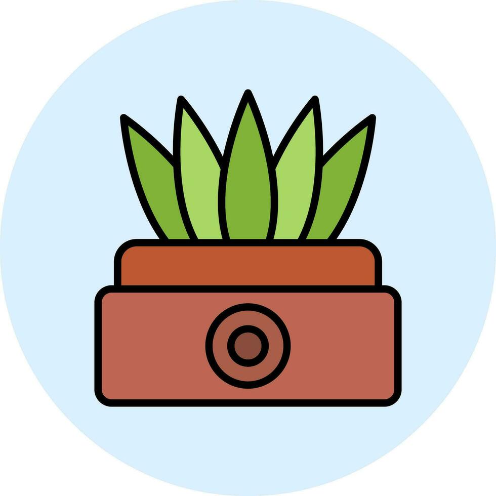 sansevieria vector icono