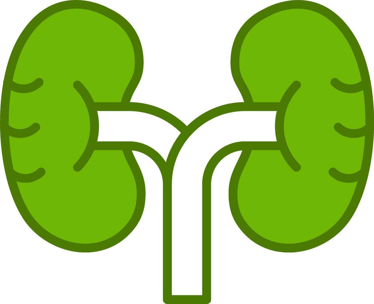Kidney Vector Icon