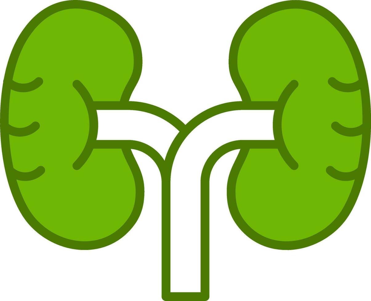 Kidney Vector Icon