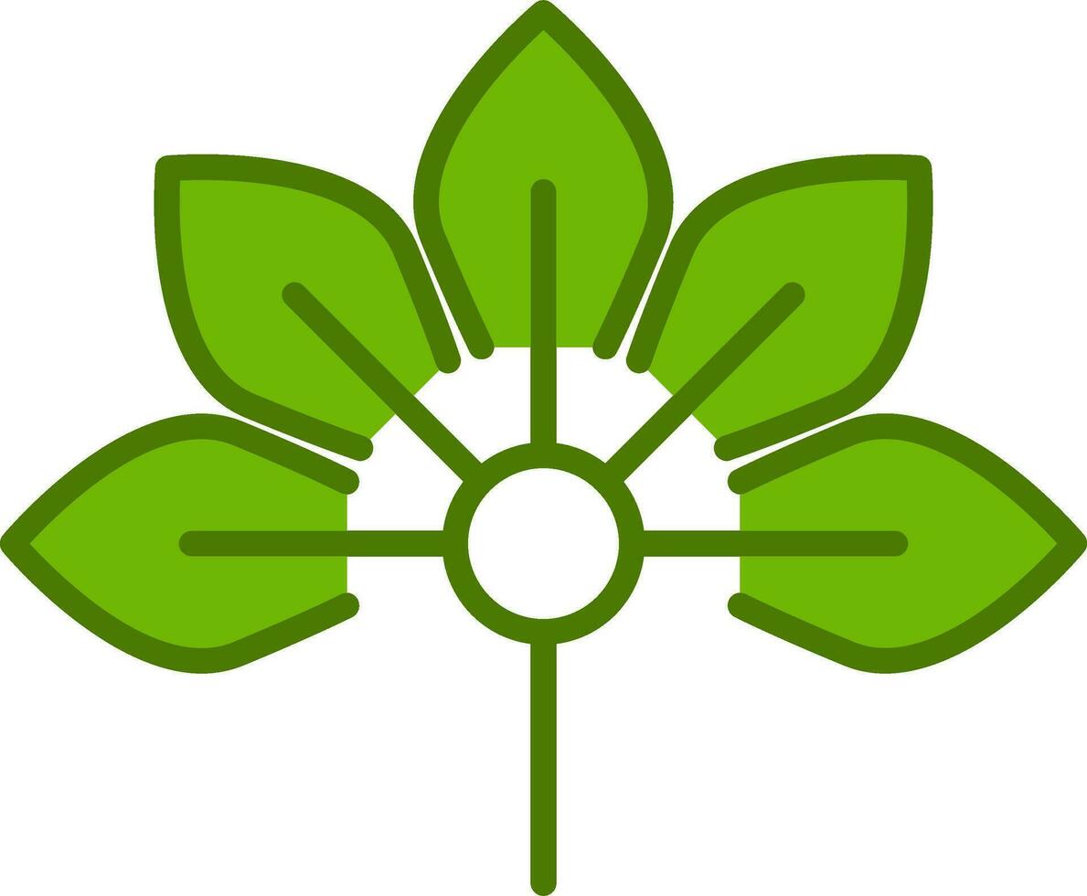 Japanese Aralia Vector Icon
