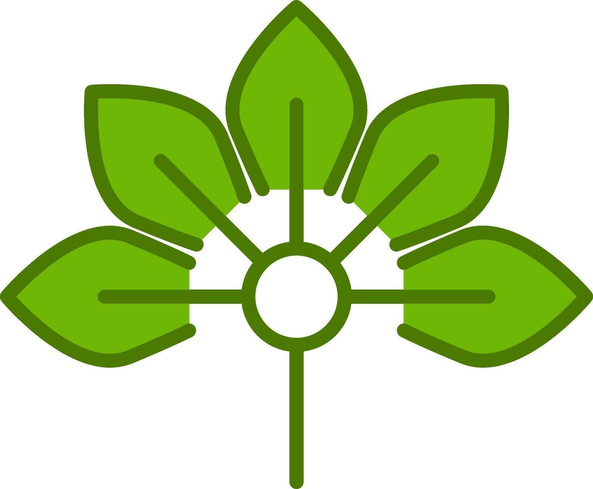 Japanese Aralia Vector Icon