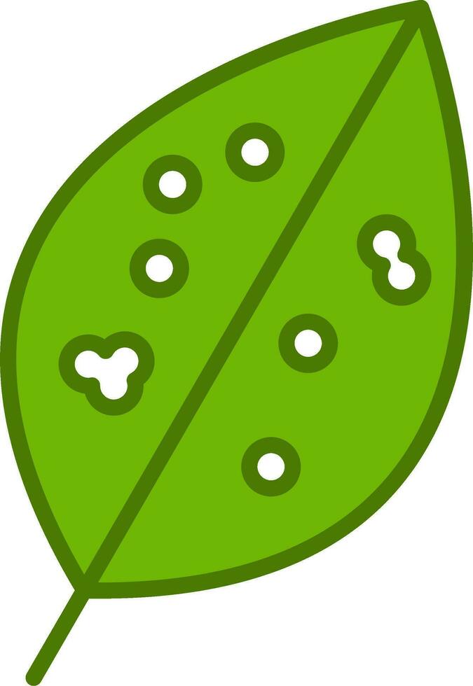 Chinese Evergreen Vector Icon