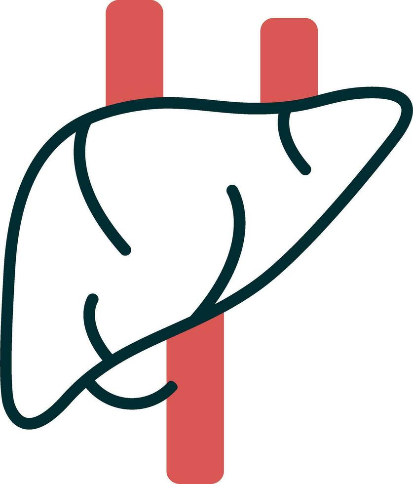 Liver Vector Icon