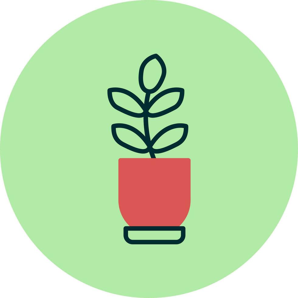 Ficus Elastica Vector Icon