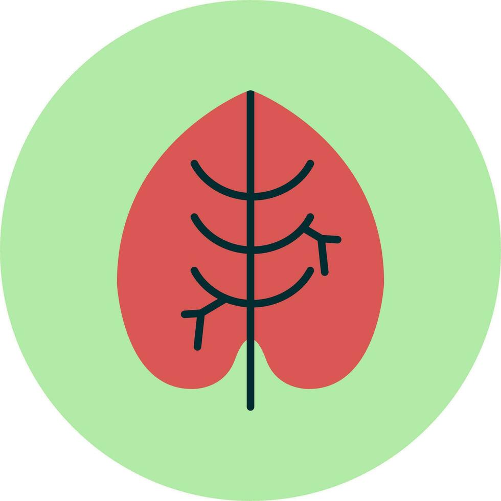 Caladium Vector Icon