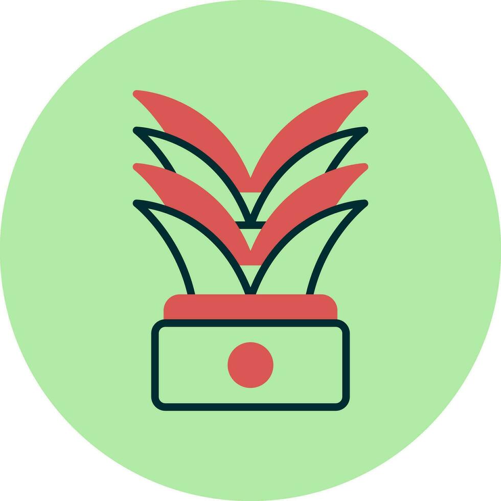 Yucca Vector Icon