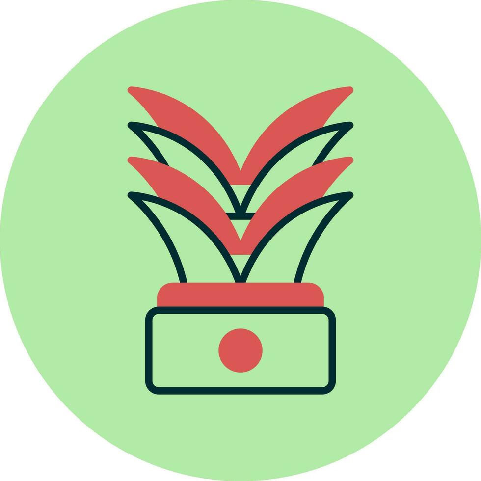 Yucca Vector Icon