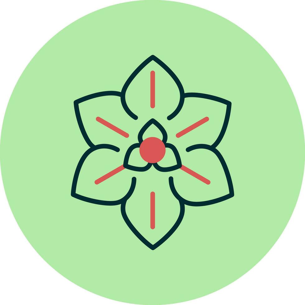 Euphorbia Pulcherrima Vector Icon