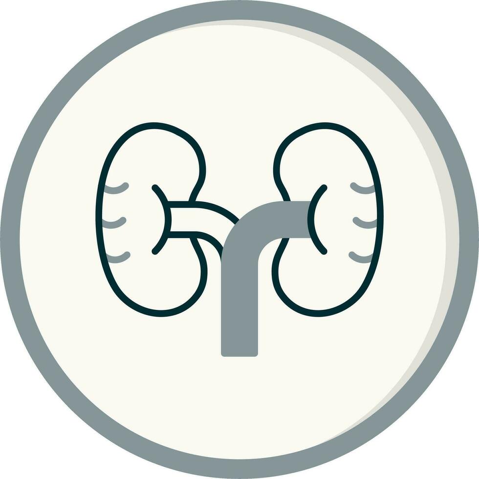 Kidney Vector Icon