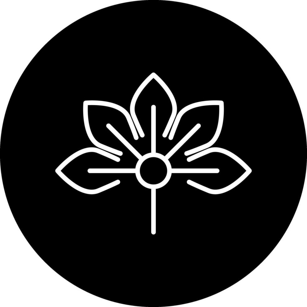 Japanese Aralia Vector Icon