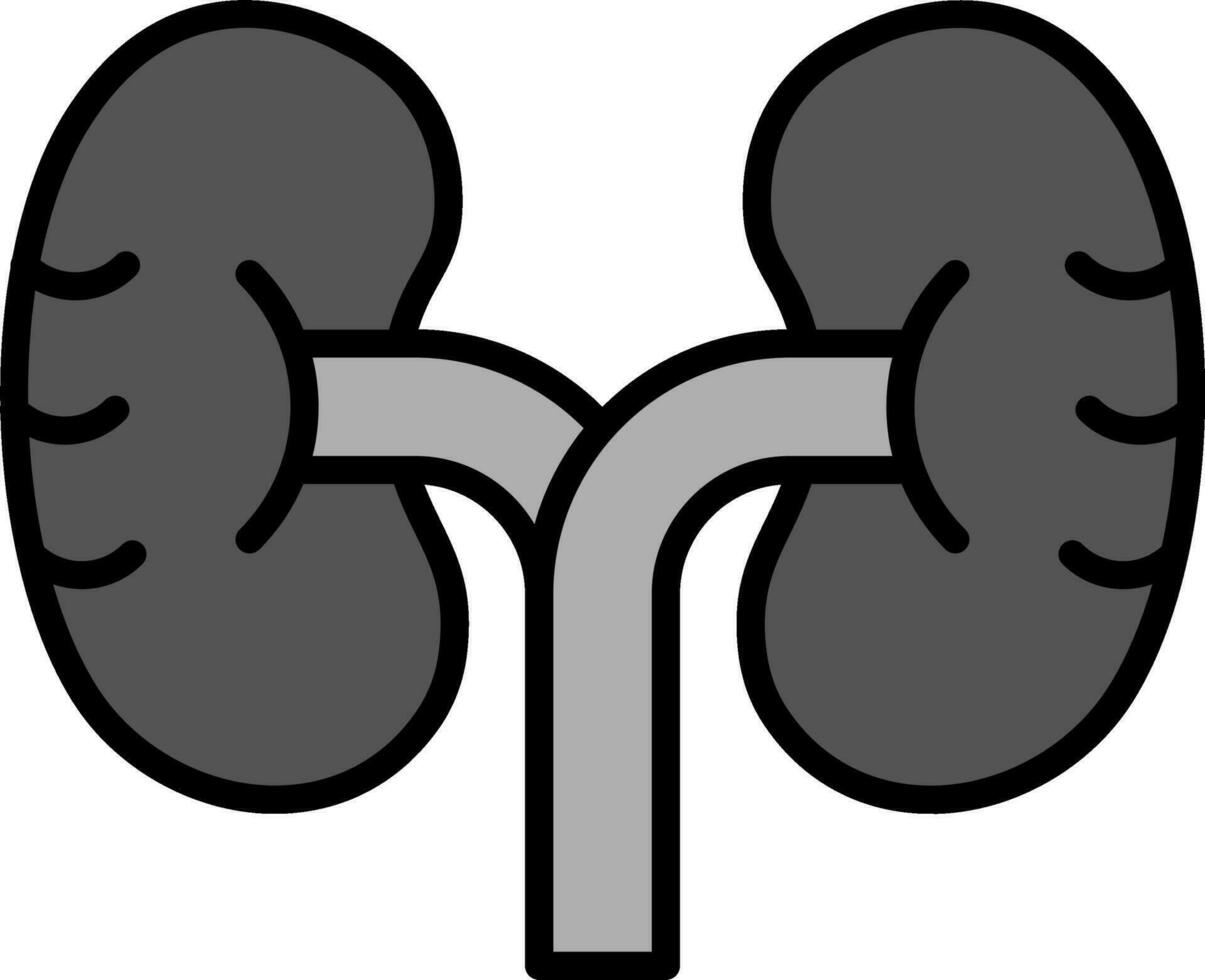 Kidney Vector Icon