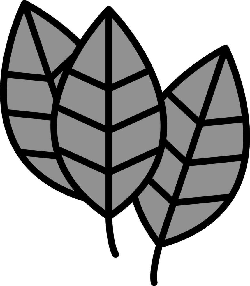 Aspidistra Vector Icon