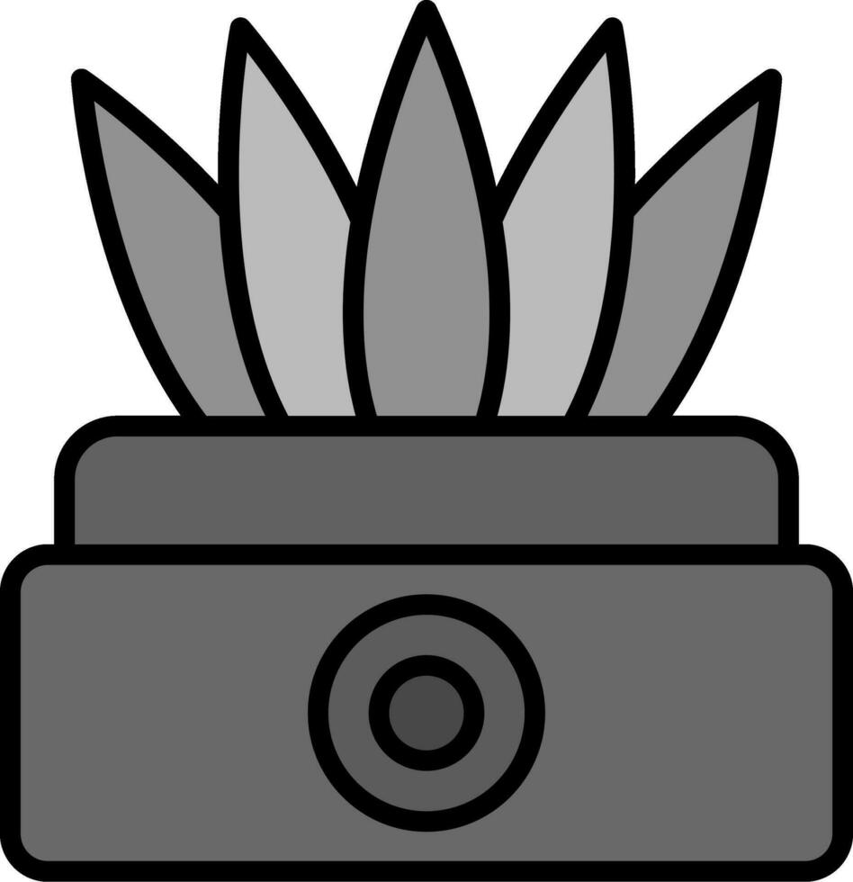 Sansevieria Vector Icon