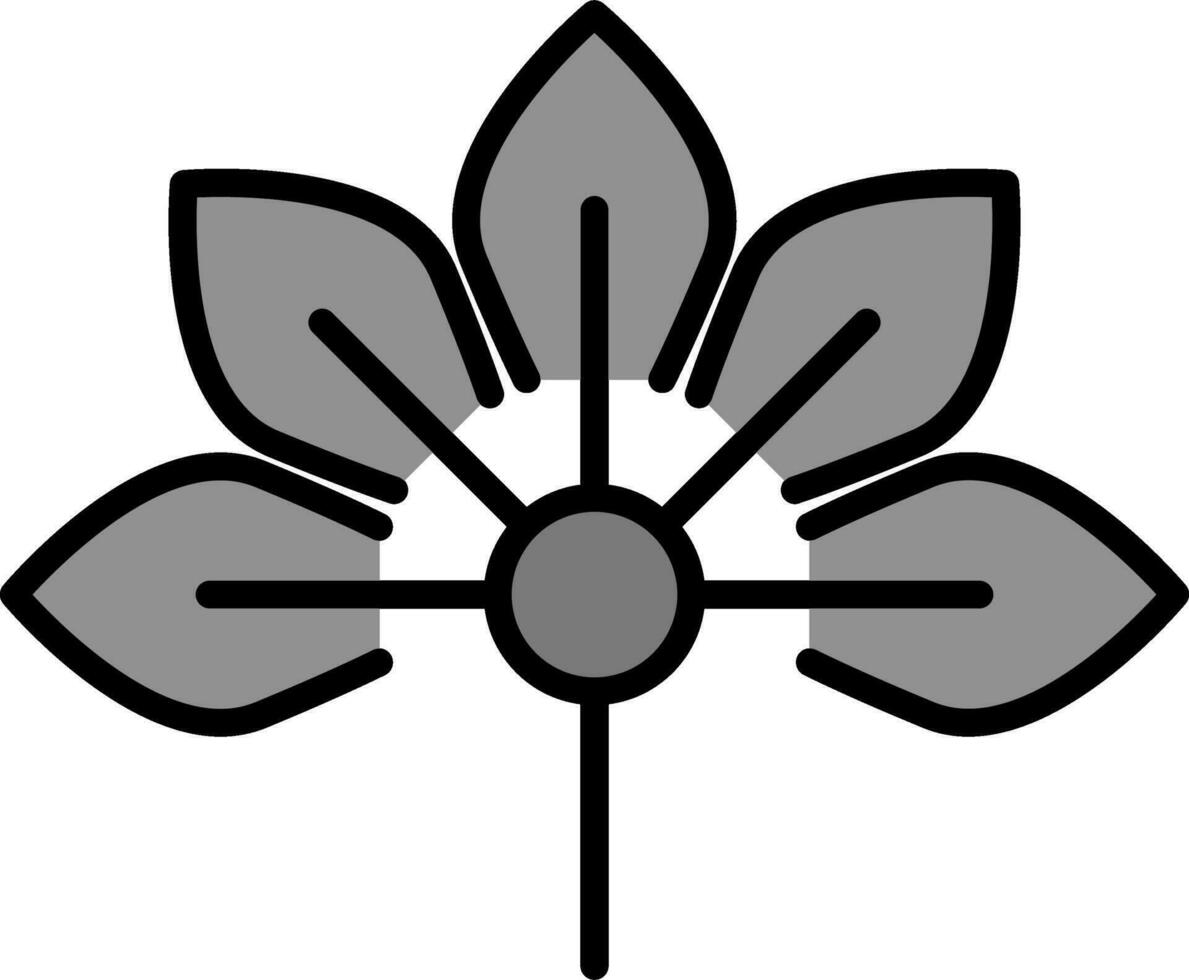 Japanese Aralia Vector Icon