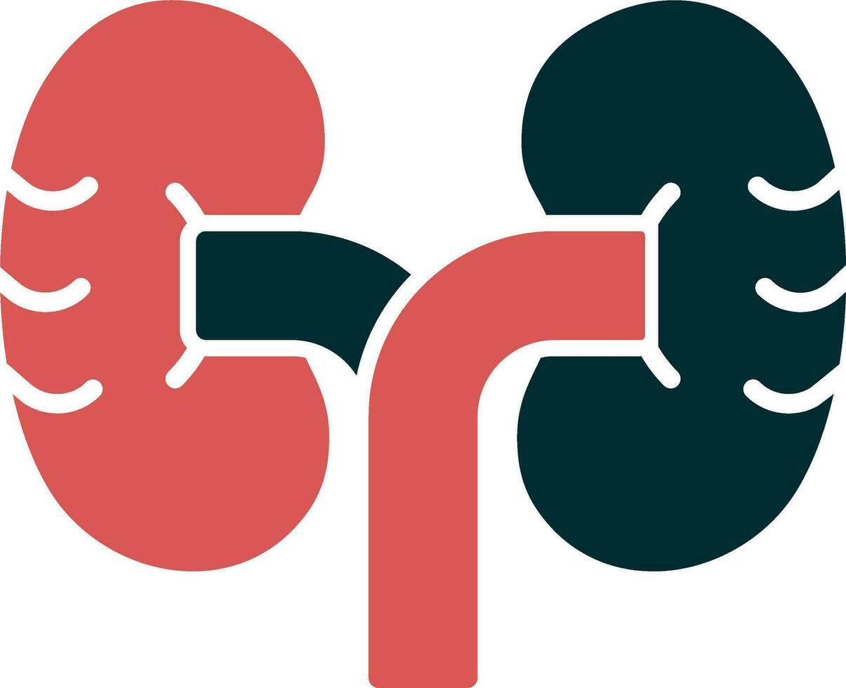 Kidney Vector Icon