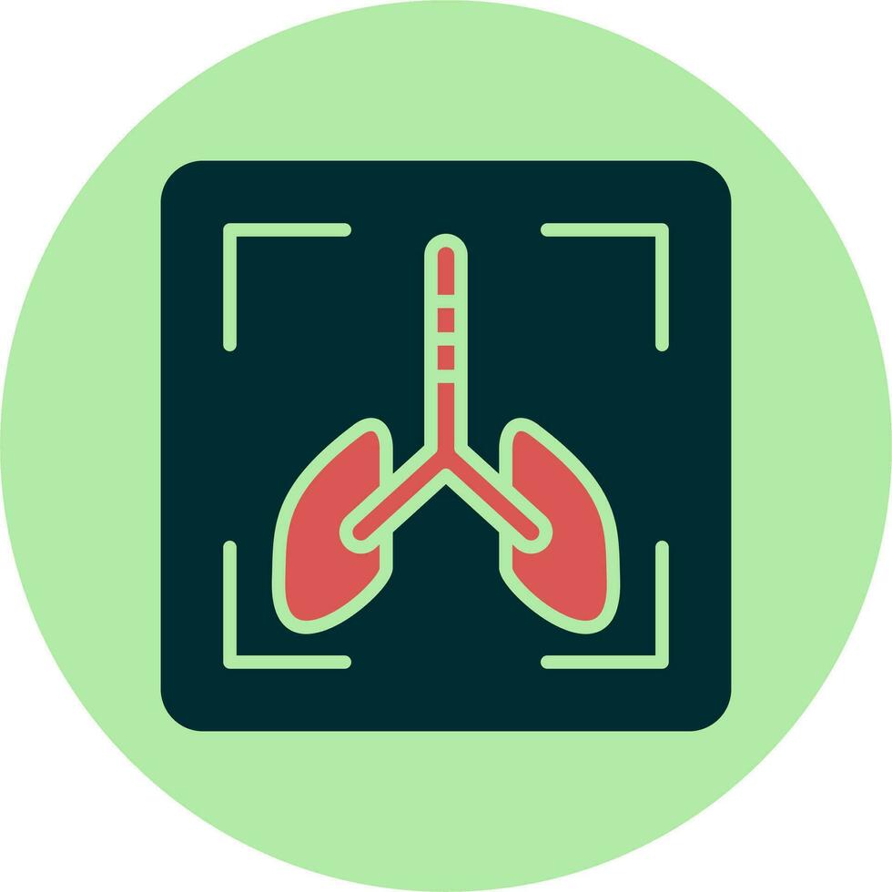 X Ray Vector Icon