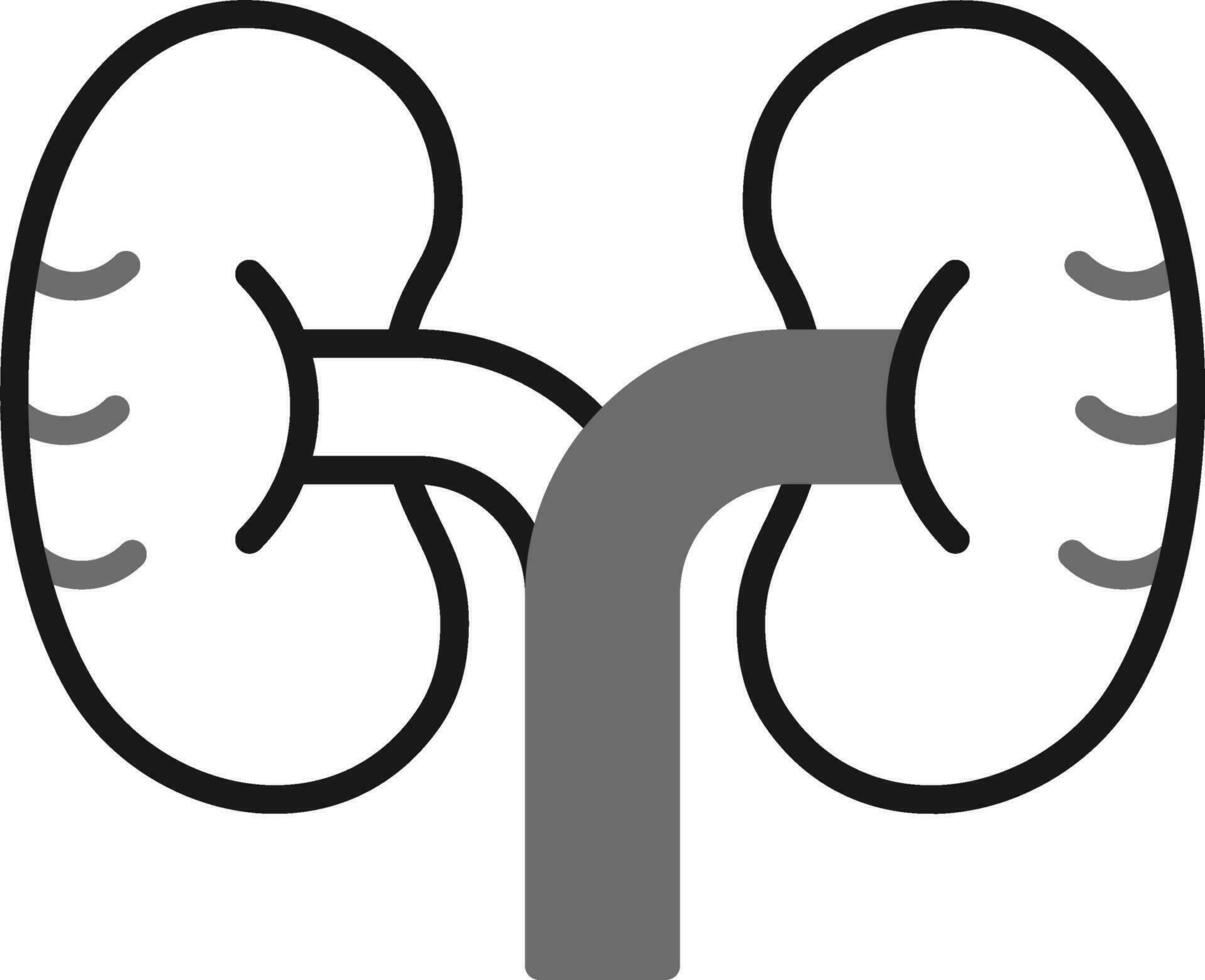 Kidney Vector Icon