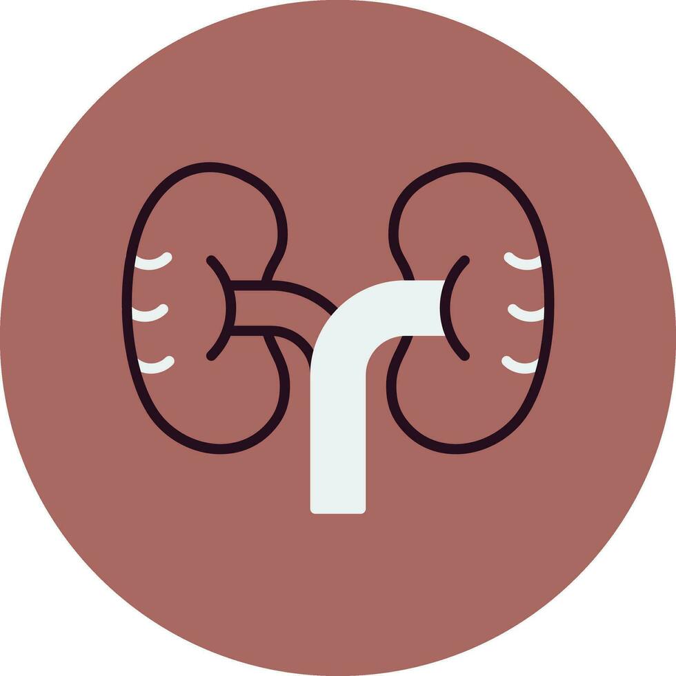 Kidney Vector Icon