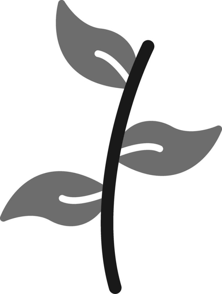 Rubber Fig Vector Icon