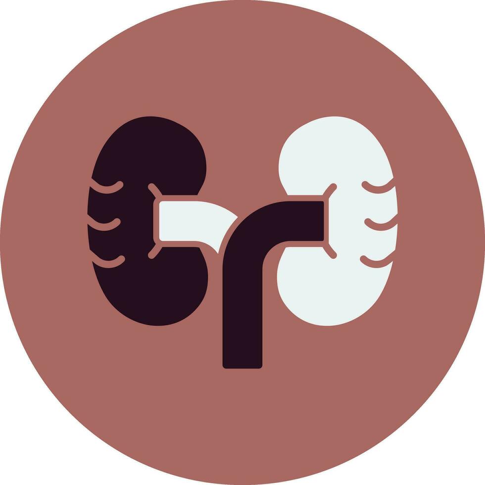 Kidney Vector Icon