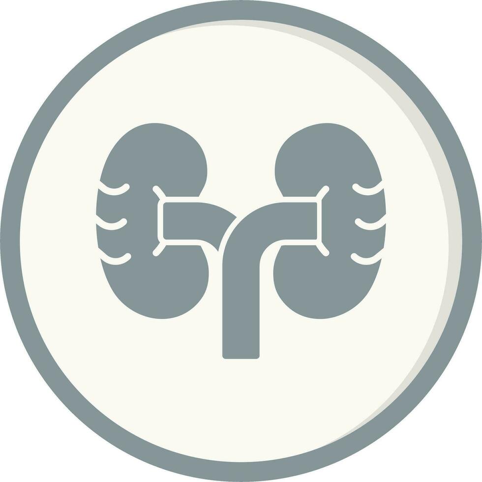 Kidney Vector Icon