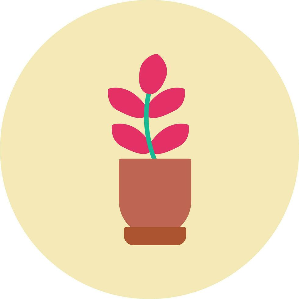 Ficus Elastica Vector Icon