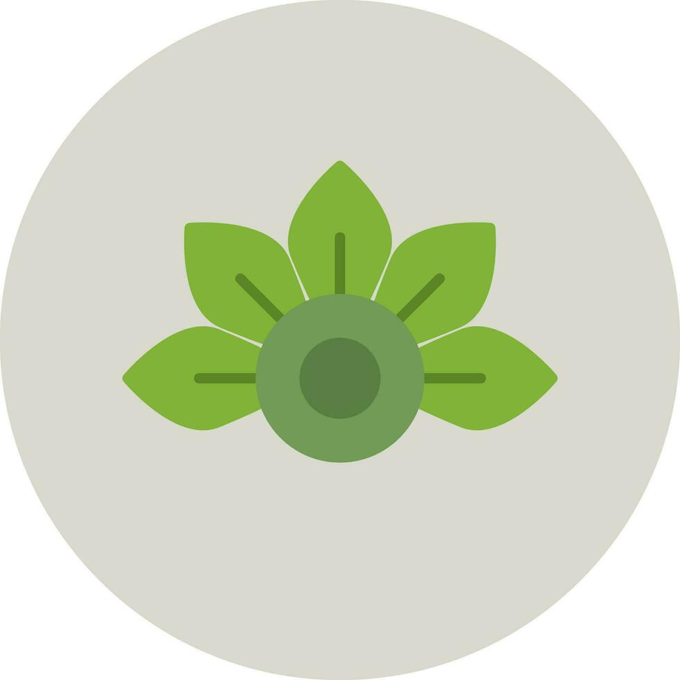 Japanese Aralia Vector Icon