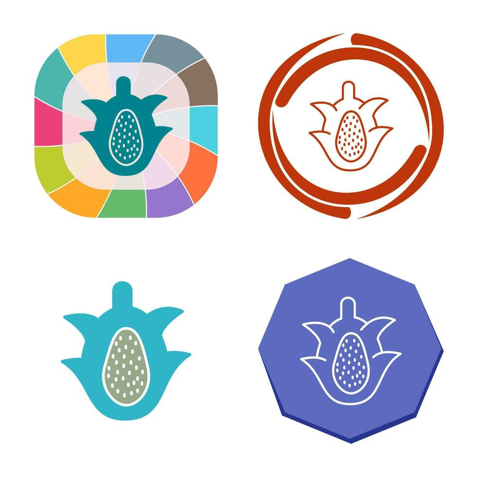 Dragon Fruit Vector Icon