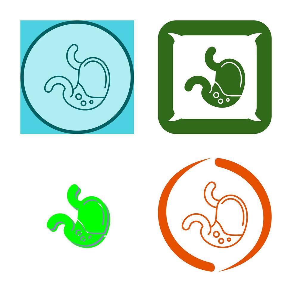 Stomach Vector Icon