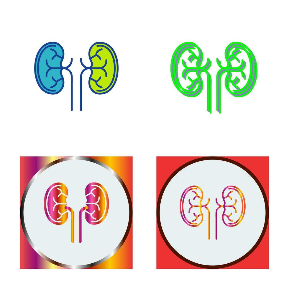 Kidney Vector Icon