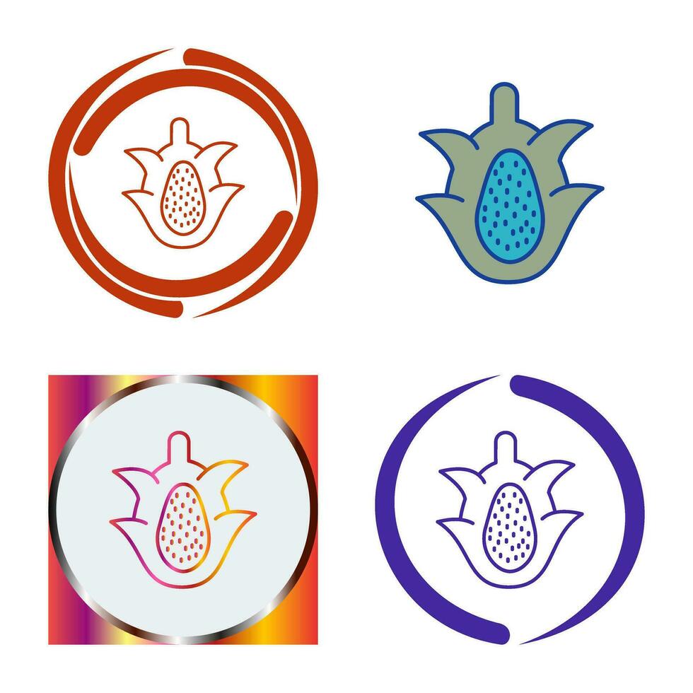 Dragon Fruit Vector Icon