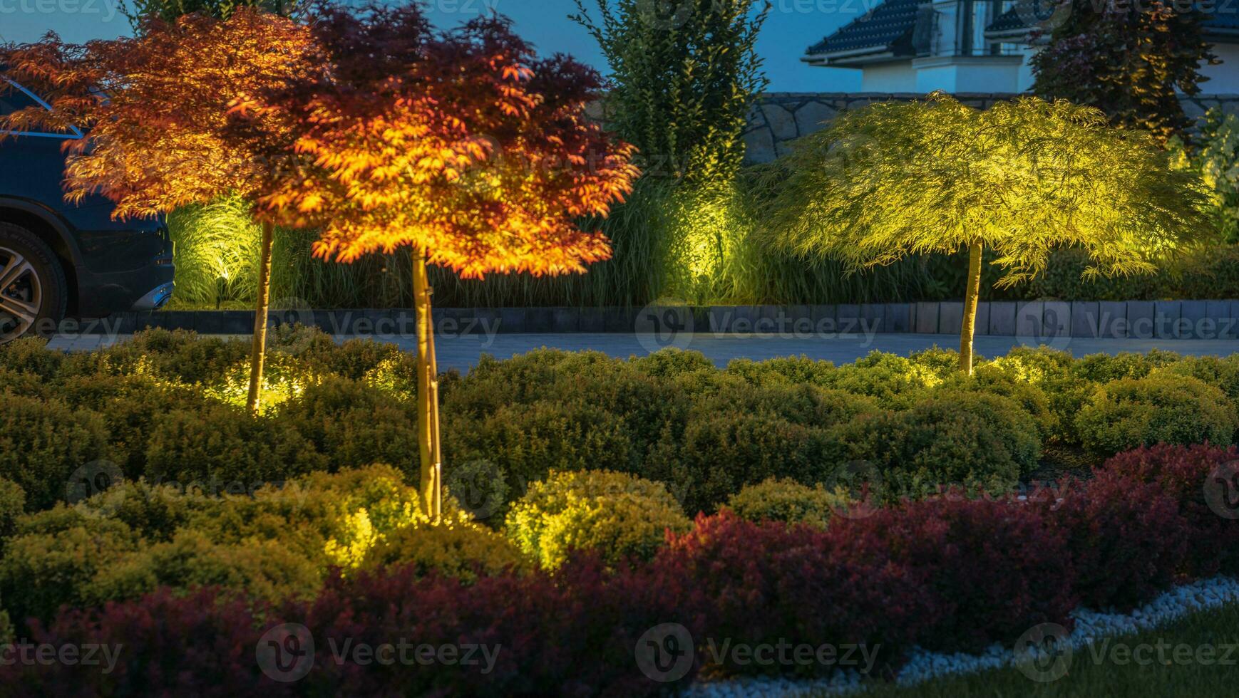 Front Yard Illuminated by LED Lighting System photo