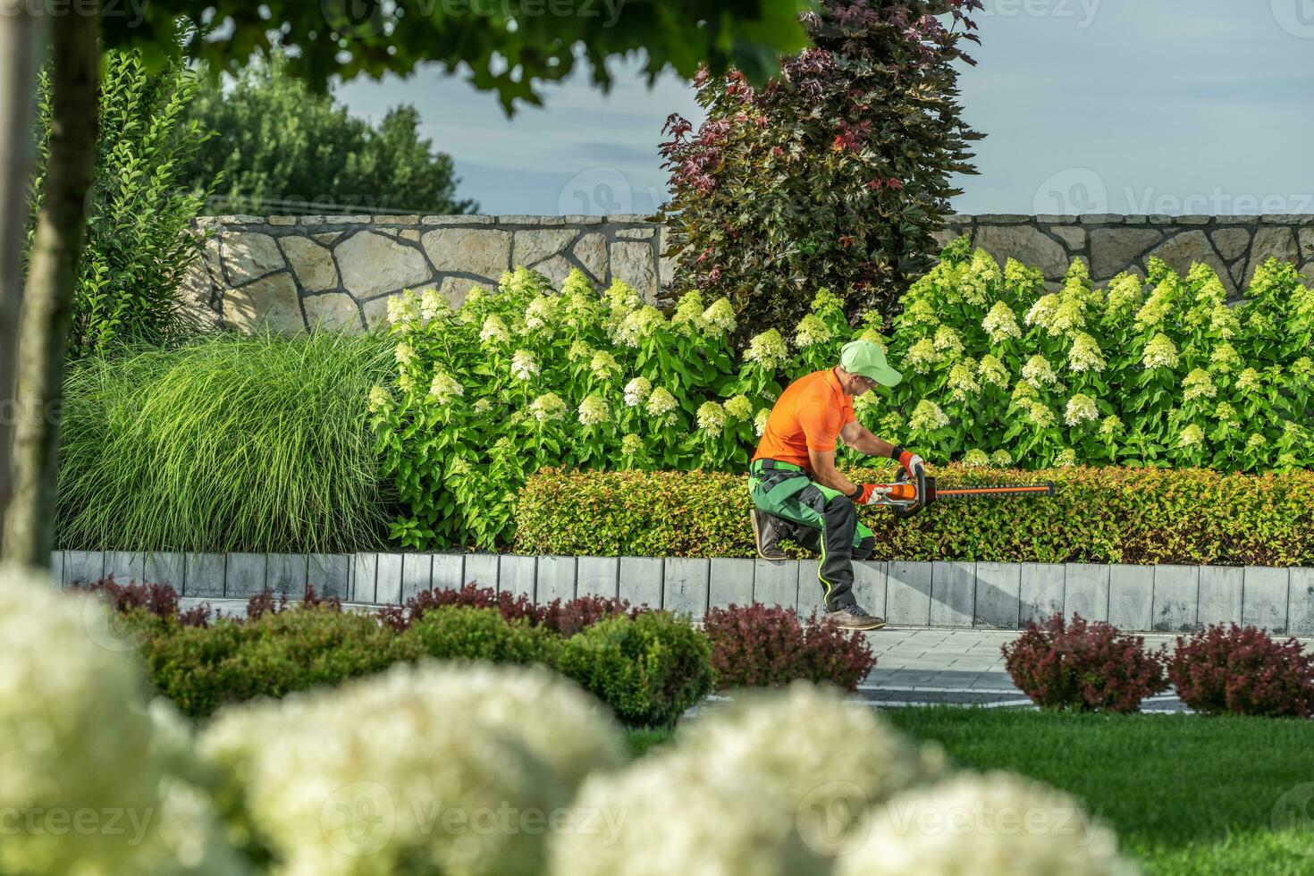 Garden Worker Shaping Front Yard Plants Using Hedge Trimmer photo