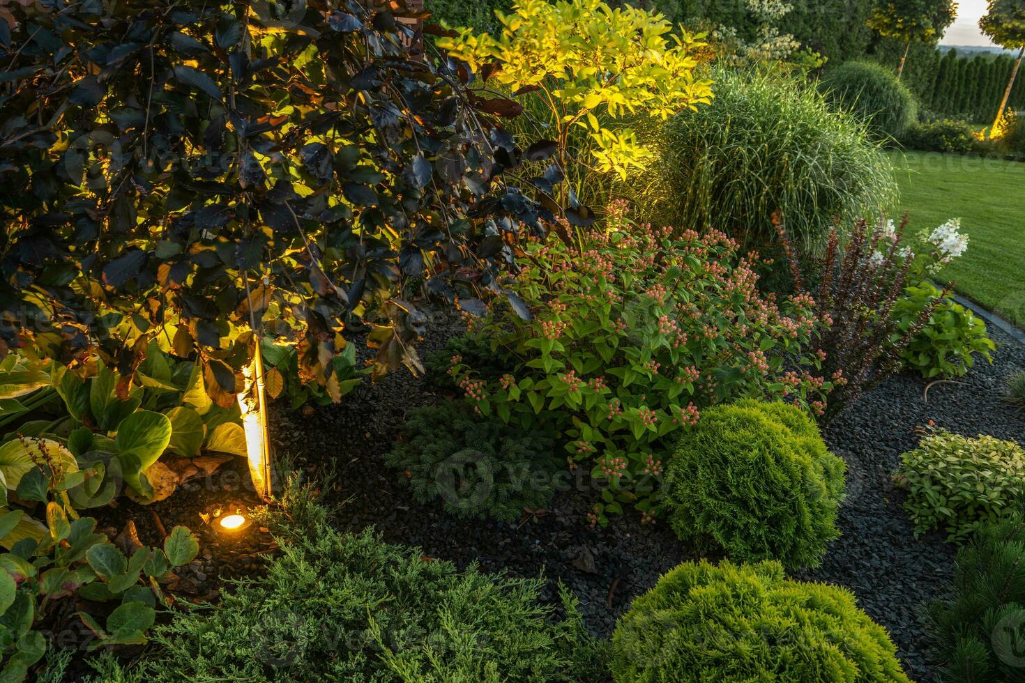 Garden Illuminated by LED Lighting System. photo