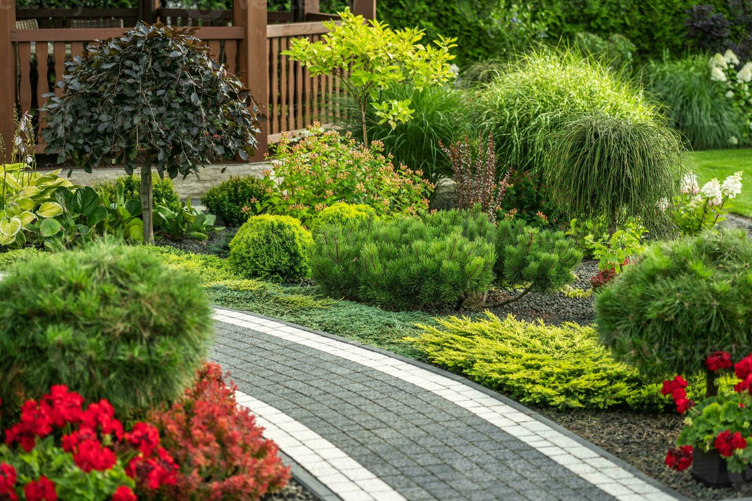 Back Yard Garden Full of Mature Plants and Trees. photo