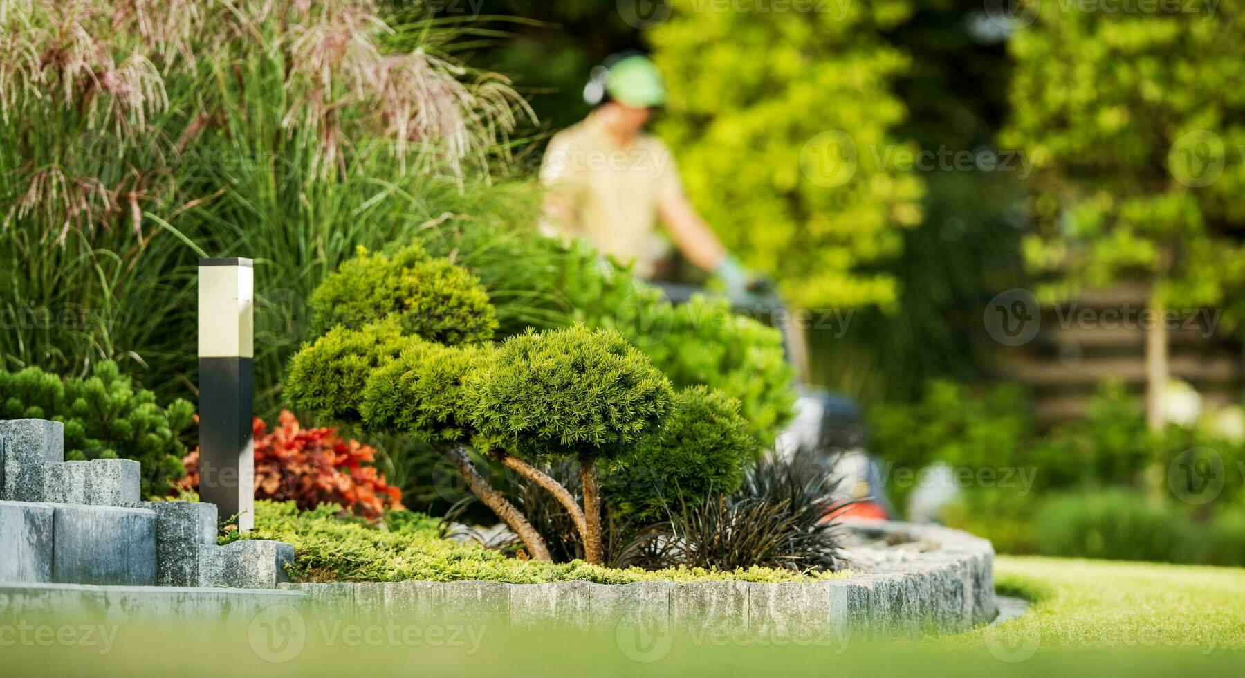 Residential Back Yard and Garden Keeper in the Background photo