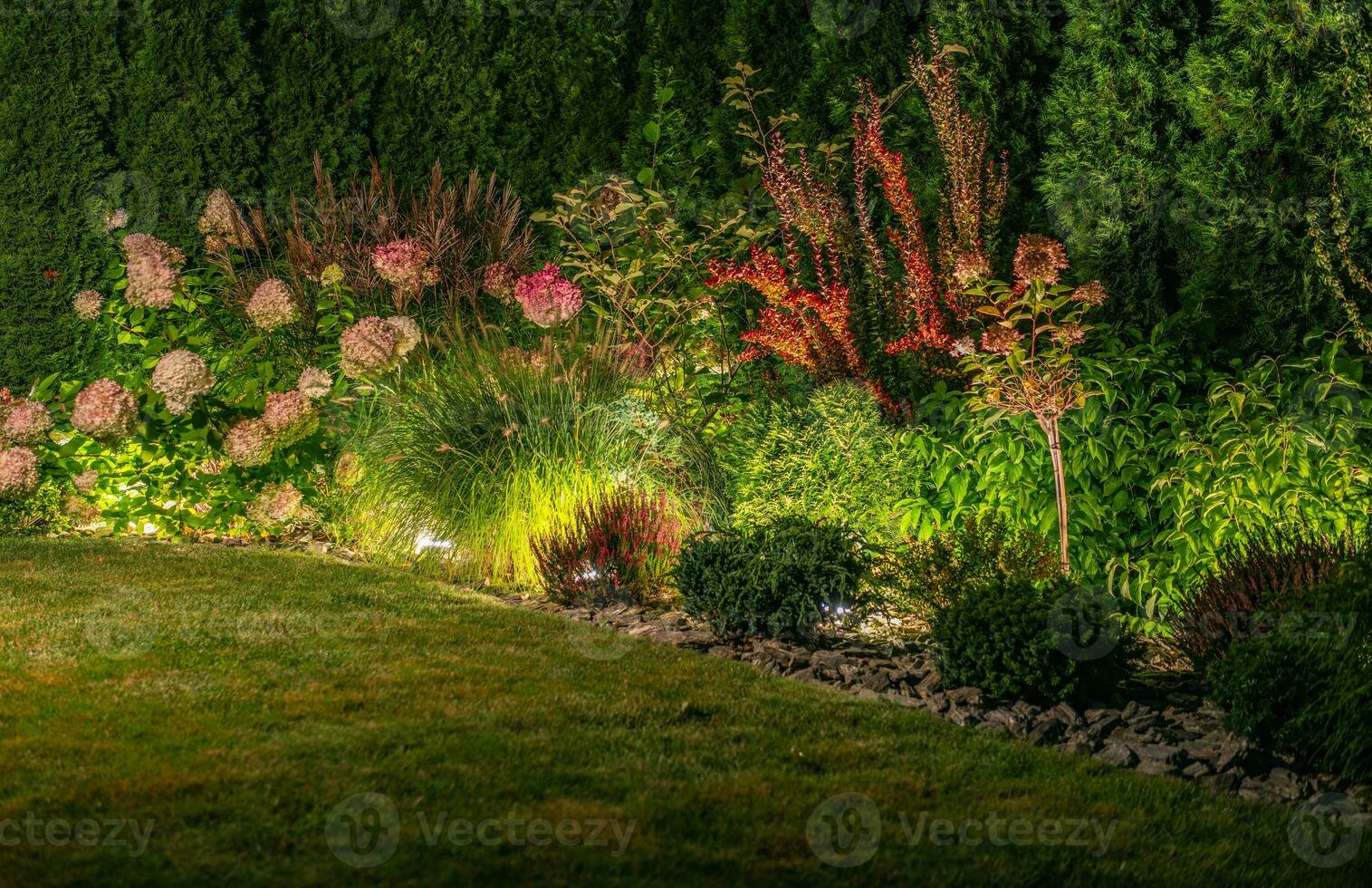 Backyard Garden Illuminated by LED Outdoor Lighting photo