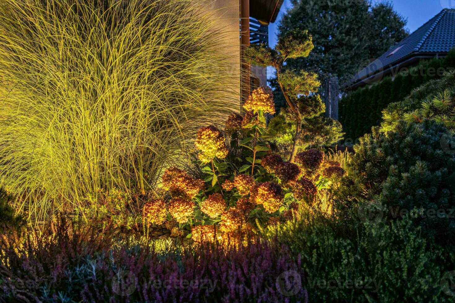 Garden Flowers and Other Plants Illuminated by Outdoor LED Lighting photo