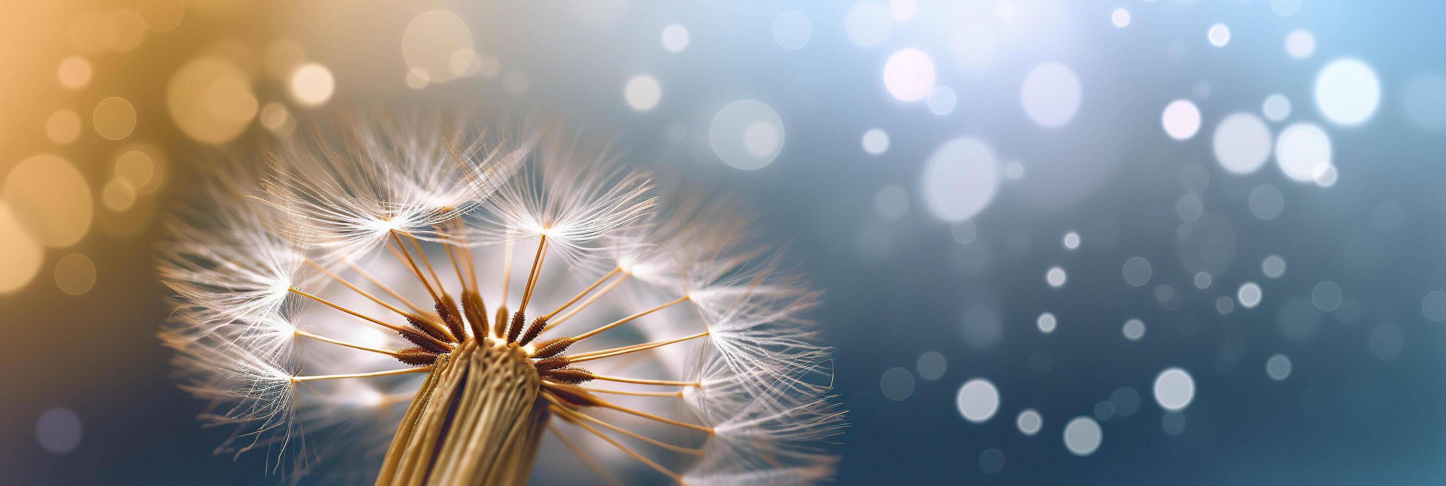 Abstract blurred nature background dandelion seeds parachute. Bokeh pattern. Generative AI photo