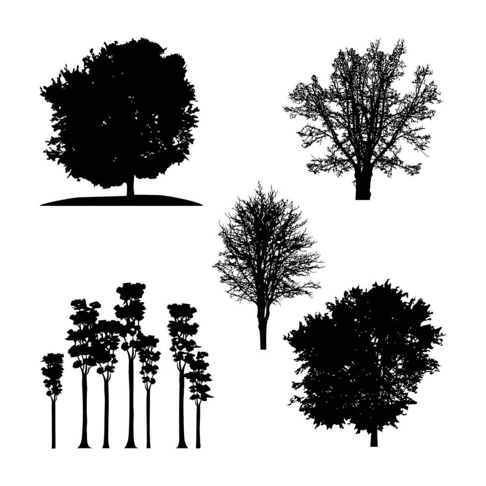 Set of Tree Vector Silhouette.