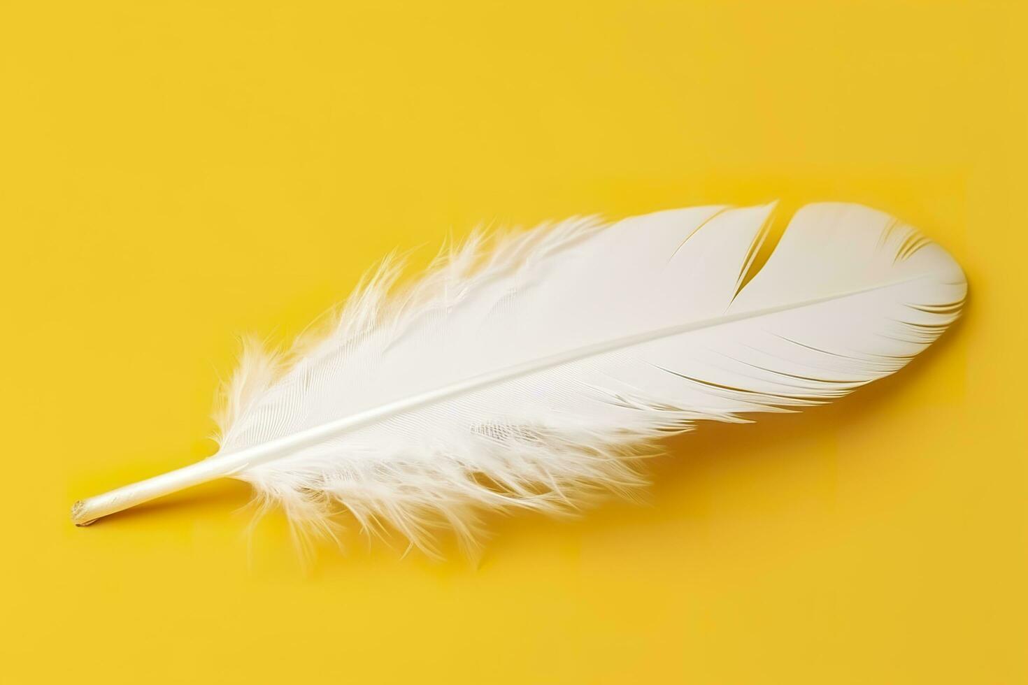 Fluffy Background Yellow Feathers Stock Photo, Picture and Royalty Free  Image. Image 26615588.