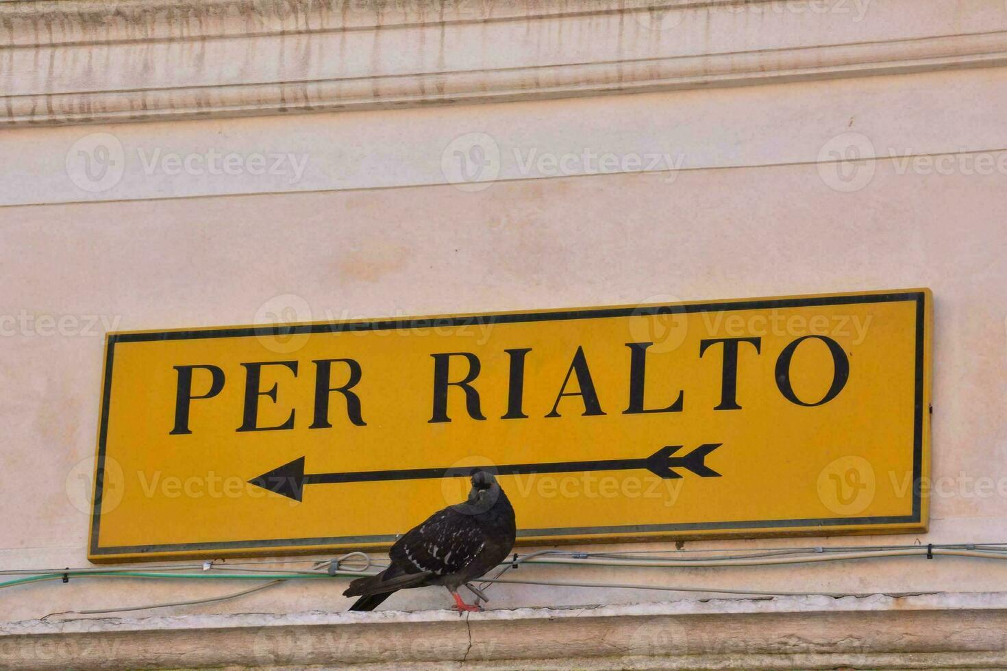 a pigeon perched next to a street sign that says per rialto photo