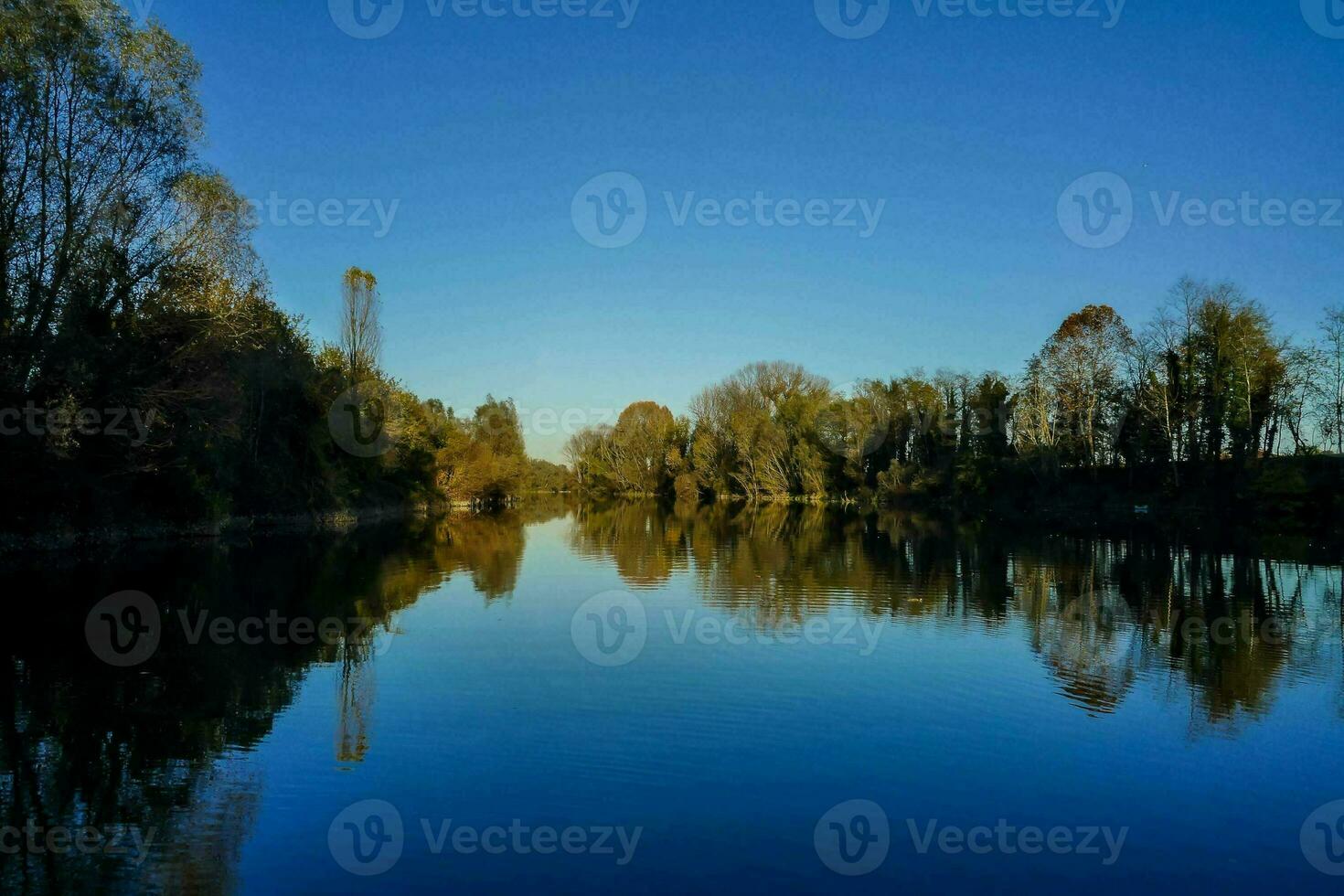 View of the lake photo
