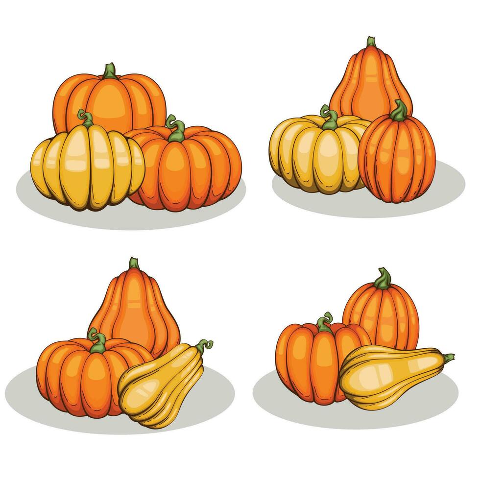 calabazas ilustración aislado en blanco. otoño acción de gracias calabazas arreglo en blanco antecedentes. vistoso calabazas realista ilustración vector