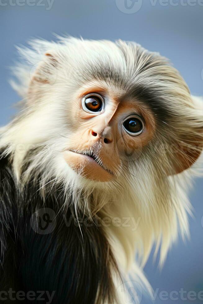 Portrait of a cute red-shanked douc langur on orange background. AI generative photo