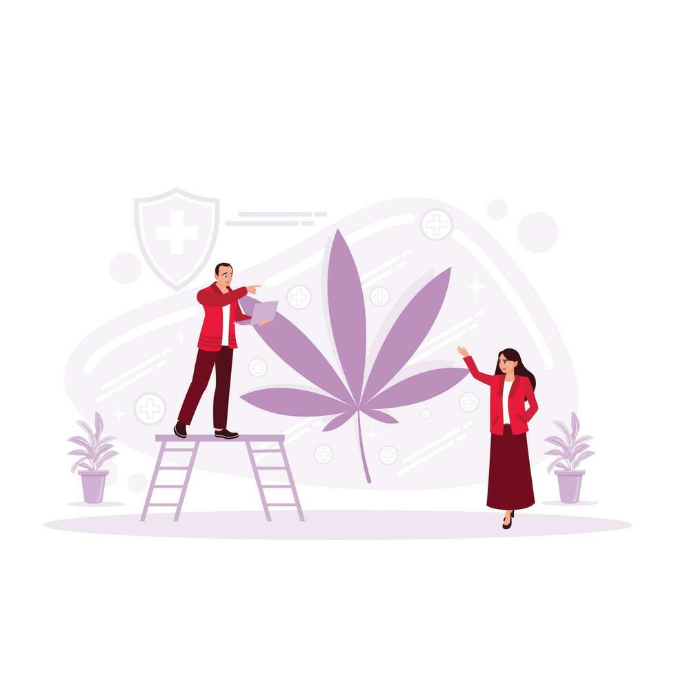 cannabis. Doctor holding cannabis plant leaf in hands. Medical treatment concept. Trend Modern vector flat illustration