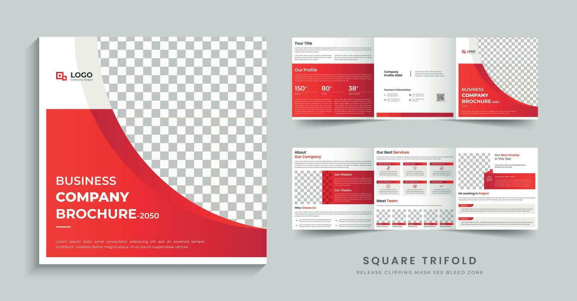 Business square trifold brochure design template layout vector